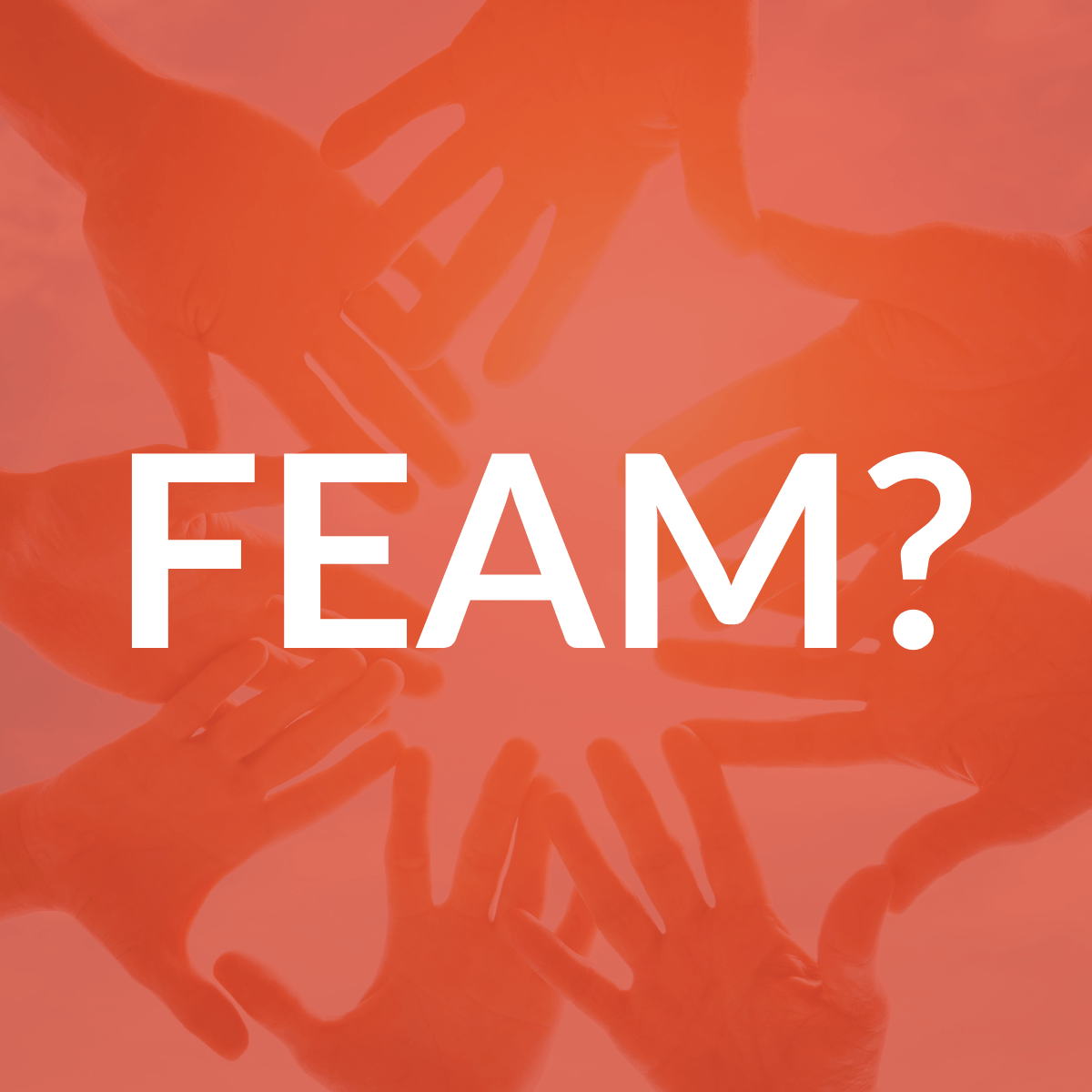 the-feam-a-family-driven-team